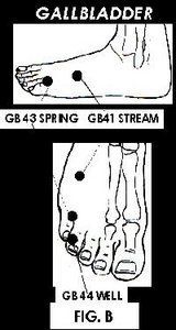 Illustration of Acupuncture points.