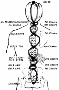 Acupuncture Point Diagram