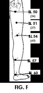 Illustration of Acupuncture points.