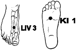 Acupuncture points of the foot for treating chronic pain.