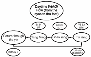 The daytime wei qi flow.