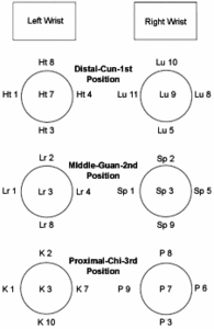 Diagram showing needling of points on the heart, lung, liver, spleen, kidney and pericardium meridians.