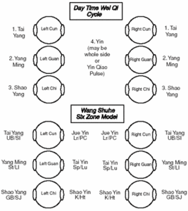 The daytime wei qi and Wang Shuhe's six zone model.