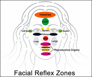 Facial reflex zones.