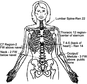 Diagram showing acupuncture points.