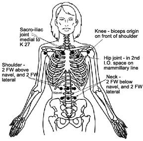 Diagram showing acupuncture points.