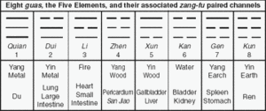 Eight <em>guas,</em> the five elements, and their associated <em>zang-fu</em> paired channels.