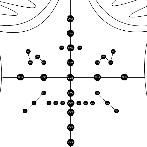 The Abdominal Turtle