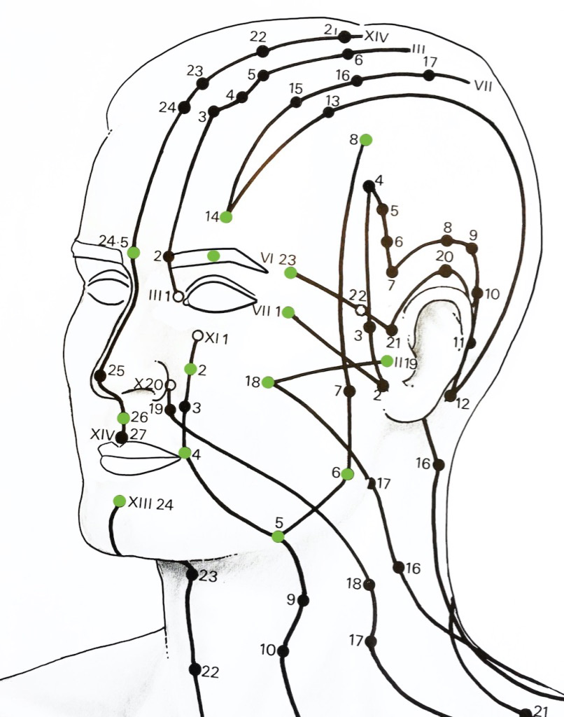 acupuncture points on face