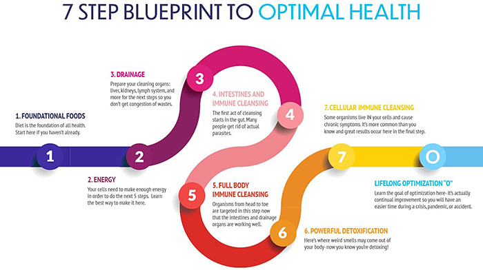 7 Step Blueprint to Optimal Health