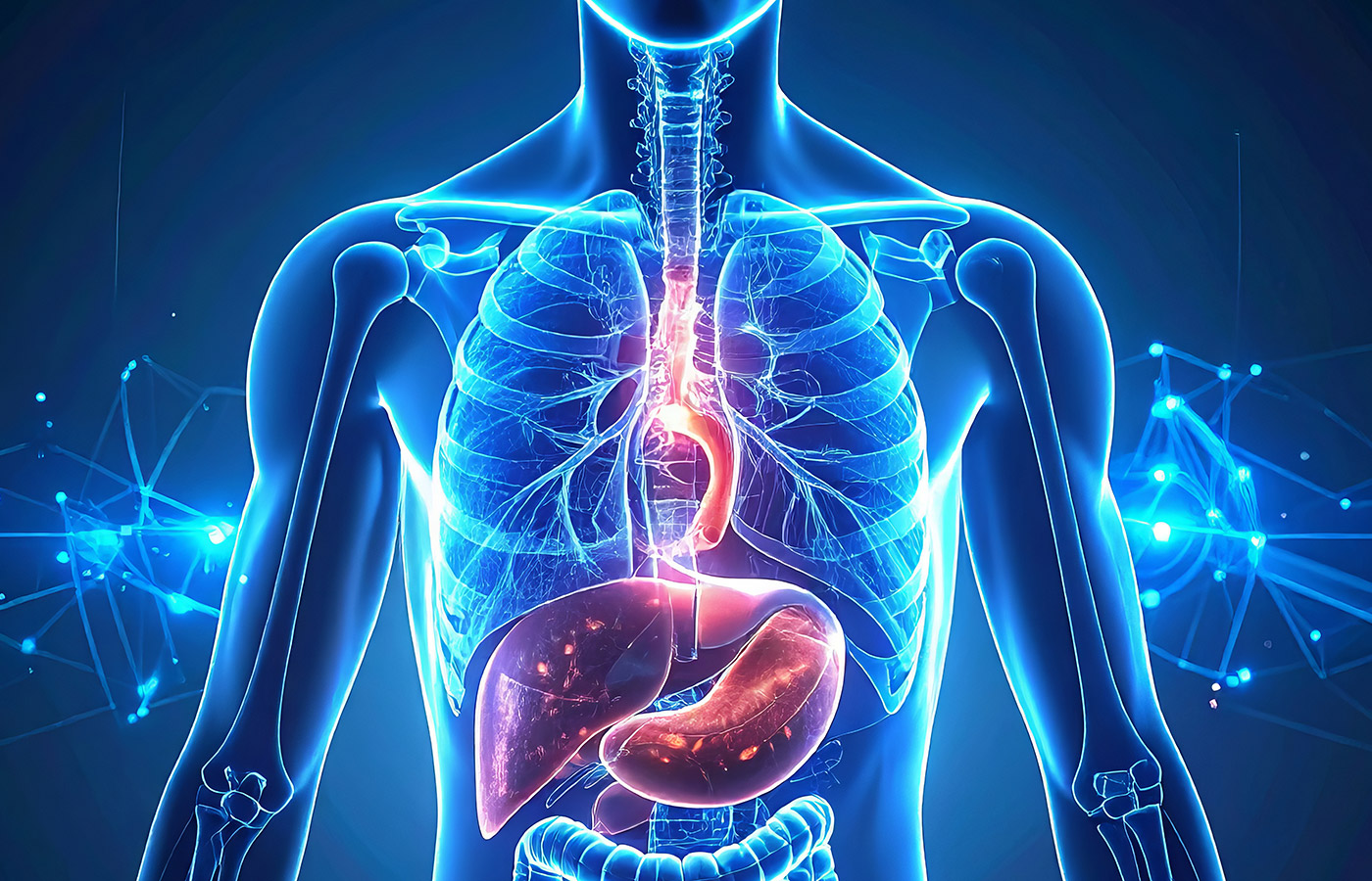 Food Therapy for the Lungs and Stomach