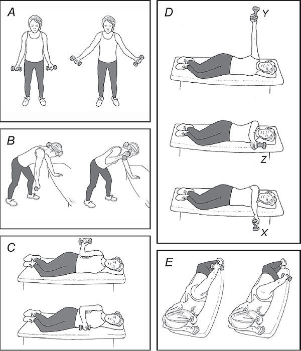 Supraspinatus Strengthening Exercises