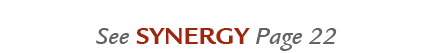 See Synergy Page 