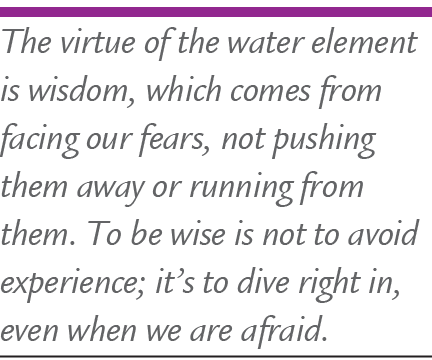 The virtue of the water element is wisdom, which comes from facing our fears, not pushing them away or running from t...