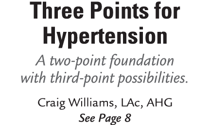 Three Points for Hypertension A two point foundation with third point possibilities. Craig Williams, LAc, AHG See Page 8