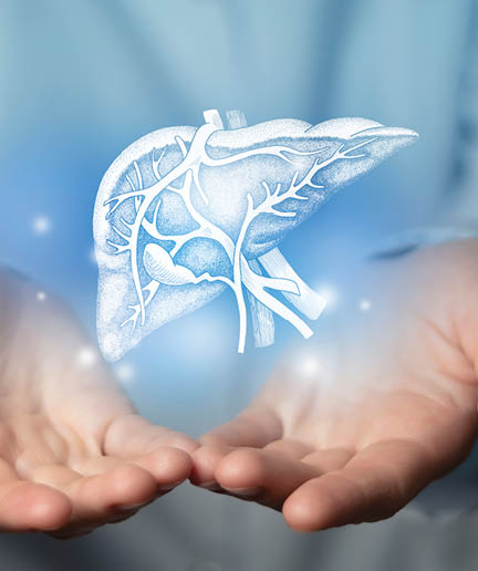 Liver issues medical concept. Photo of female doctor, empty space. 