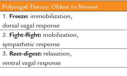 Polyvagal Theory: Oldest to Newest,1. Freeze: immobilization, dorsal vagal response,2. Fight flight: mobilization, sy...