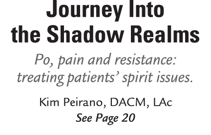 Journey Into the Shadow Realms Po, pain and resistance: treating patients’ spirit issues. Kim Peirano, DACM, LAc See ...