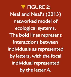  Figure 2: Neal and Neal’s (2013) networked model of ecological systems. The bold lines represent interactions betwe...
