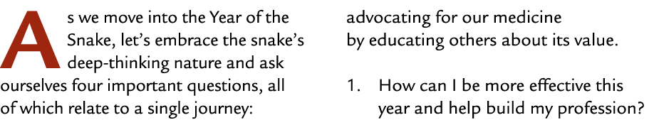 As we move into the Year of the Snake, let’s embrace the snake’s deep thinking nature and ask ourselves four importan...