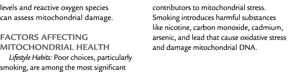 levels and reactive oxygen species can assess mitochondrial damage. Factors Affecting Mitochondrial Health Lifestyle ...