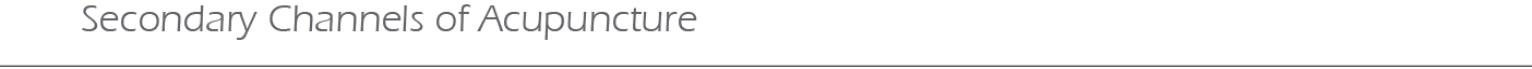 Secondary Channels of Acupuncture