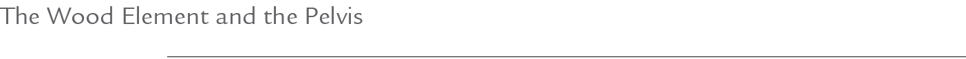 The Wood Element and the Pelvis