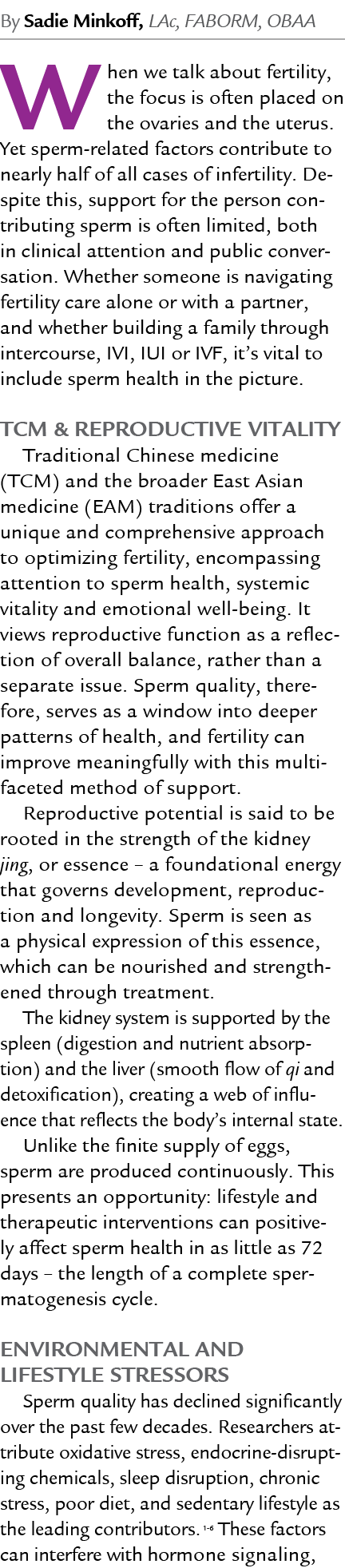 By Sadie Minkoff, LAc, FABORM, OBAA When we talk about fertility, the focus is often placed on the ovaries and the ut...