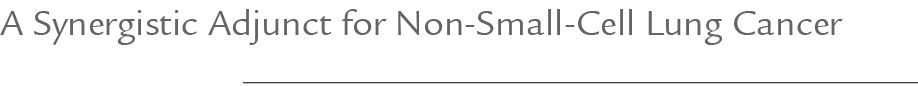 A Synergistic Adjunct for Non Small Cell Lung Cancer