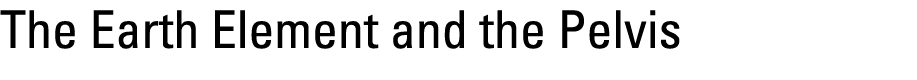 The Earth Element and the Pelvis 