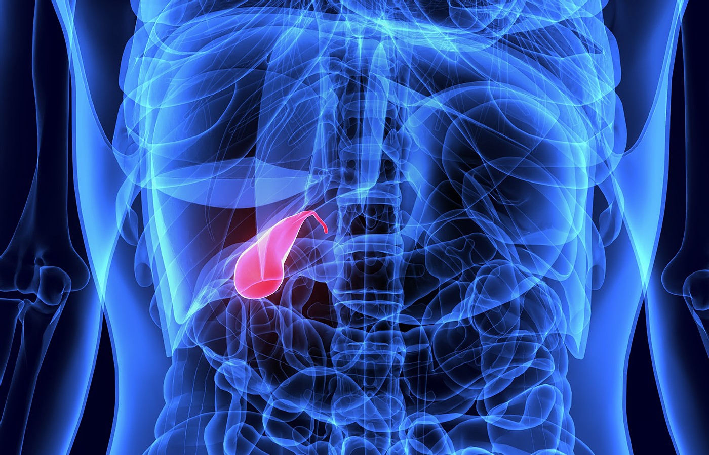 The Spirits of the Points: The Gallbladder Official