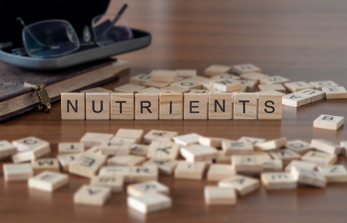 Effective Nutrients for Treating Neuropathy