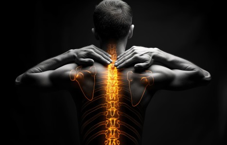 That Nagging Qi Stagnation Between the Shoulder Blades