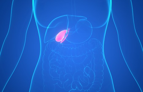 Spirits of the Points: The Gallbladder