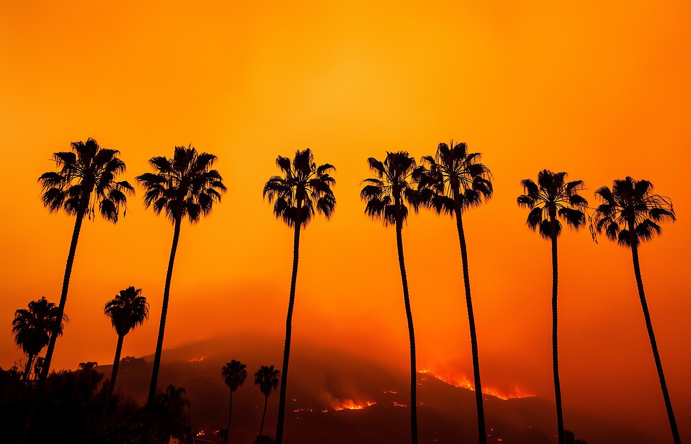 Los Angeles on Fire: Somatic Awareness and the Acupuncture Session