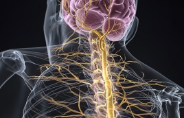 Psychosomatic Disorders in Relation to the Huang Di Nei Jing