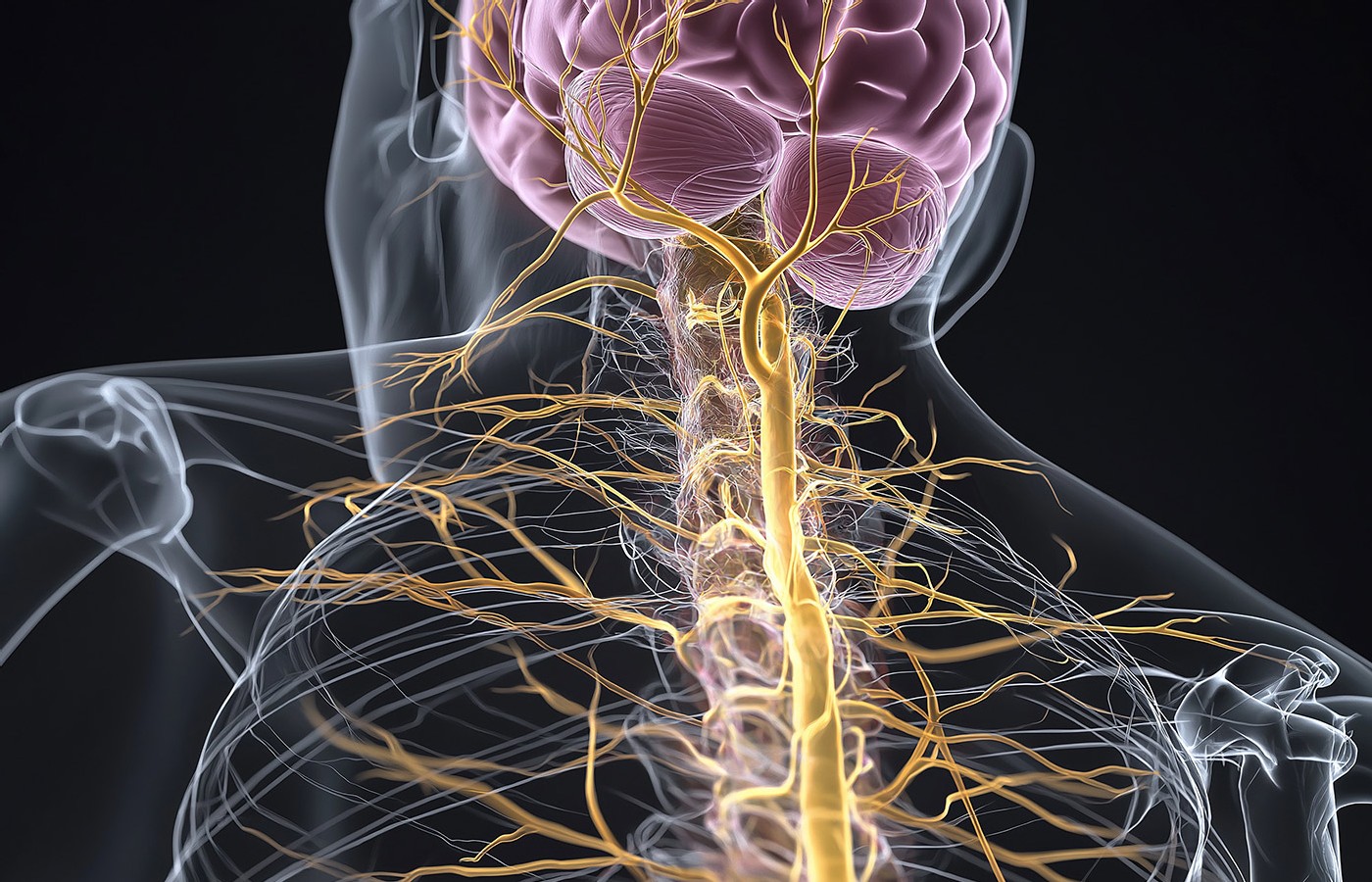 Psychosomatic Disorders in Relation to the Huang Di Nei Jing