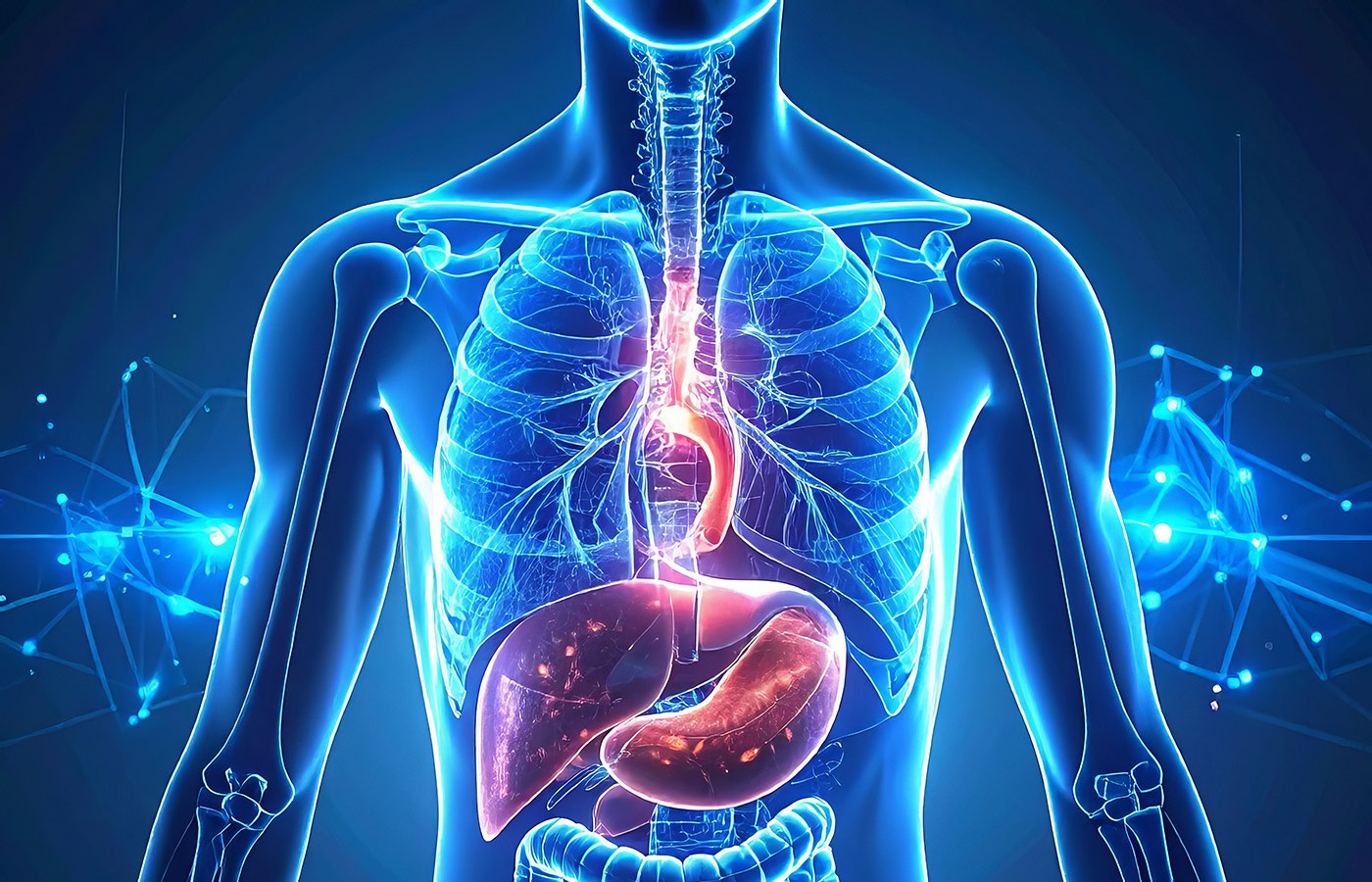 Food Therapy for the Lungs and Stomach