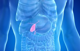 Spirits of the Points: The Gallbladder