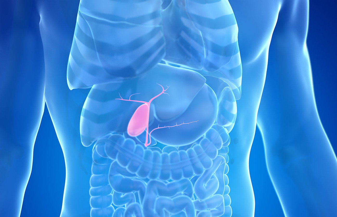 Spirits of the Points: The Gallbladder
