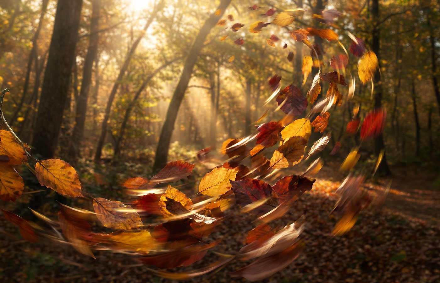 Harnessing Seasonal Energetics