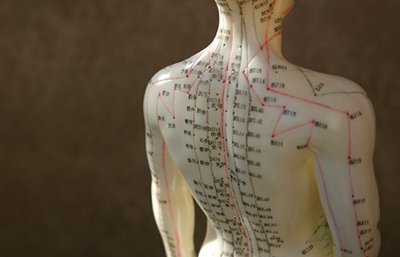 Standardizing Acupuncture?