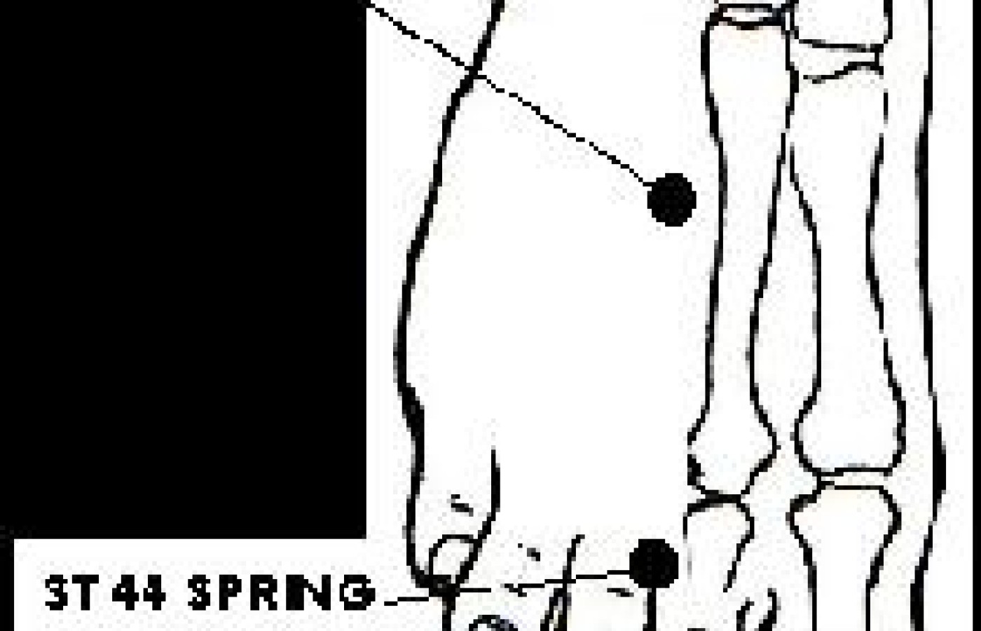 Illustration of Acupuncture points.