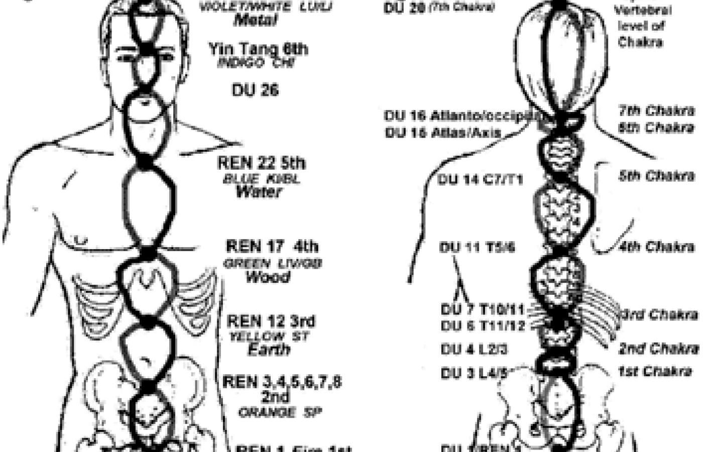 The crossing of the two tracts and their relationships to specific acupuncture points and vibratory colors.