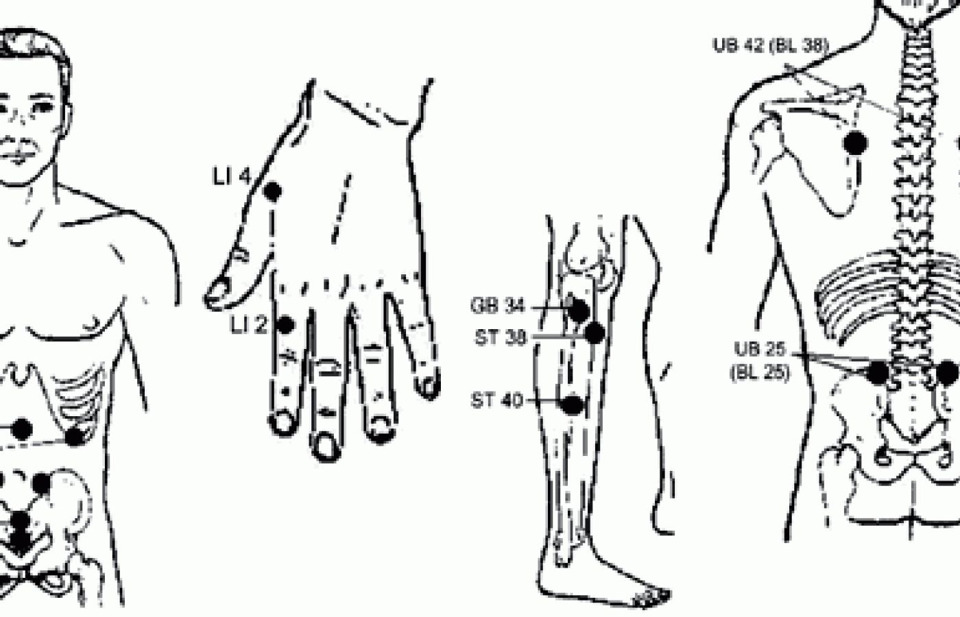 Acupuncture points for the treatment of constipation.