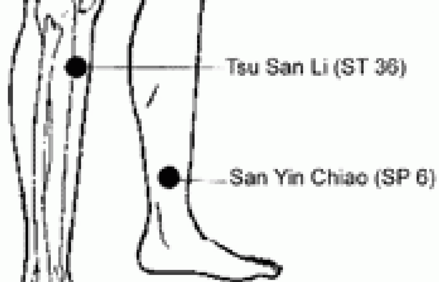 Illustration showing leg acupuncture points.