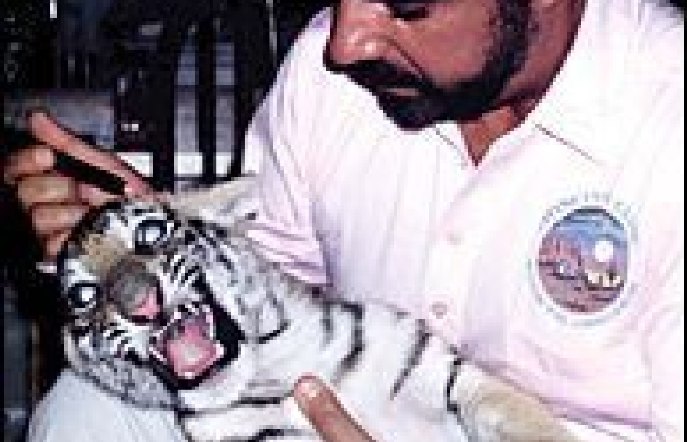 Dr. Amaro treating a Siberian tiger.