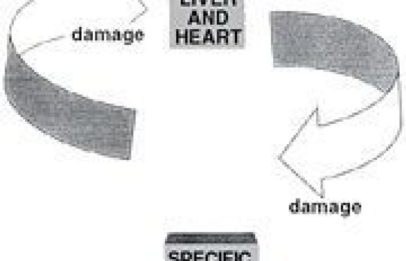 Emotional generation/damage cycle.