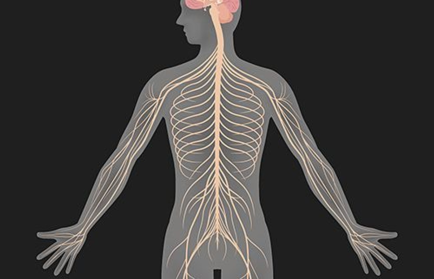 dysautonomia