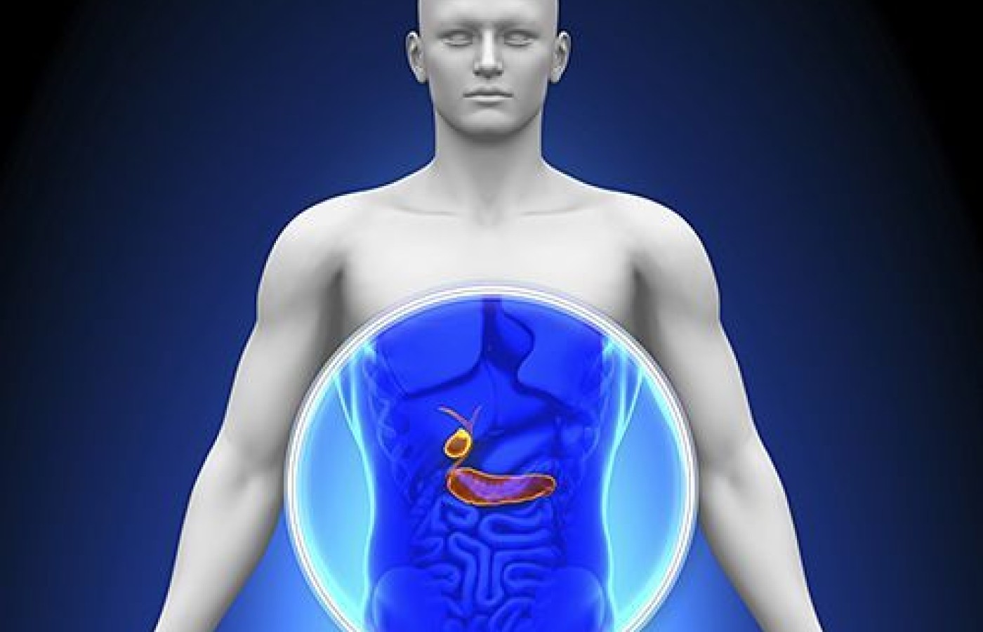 gall bladder